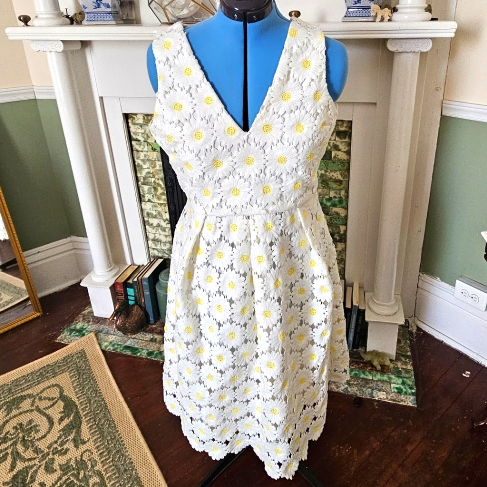 Liza Luxe Daisy Lace dress